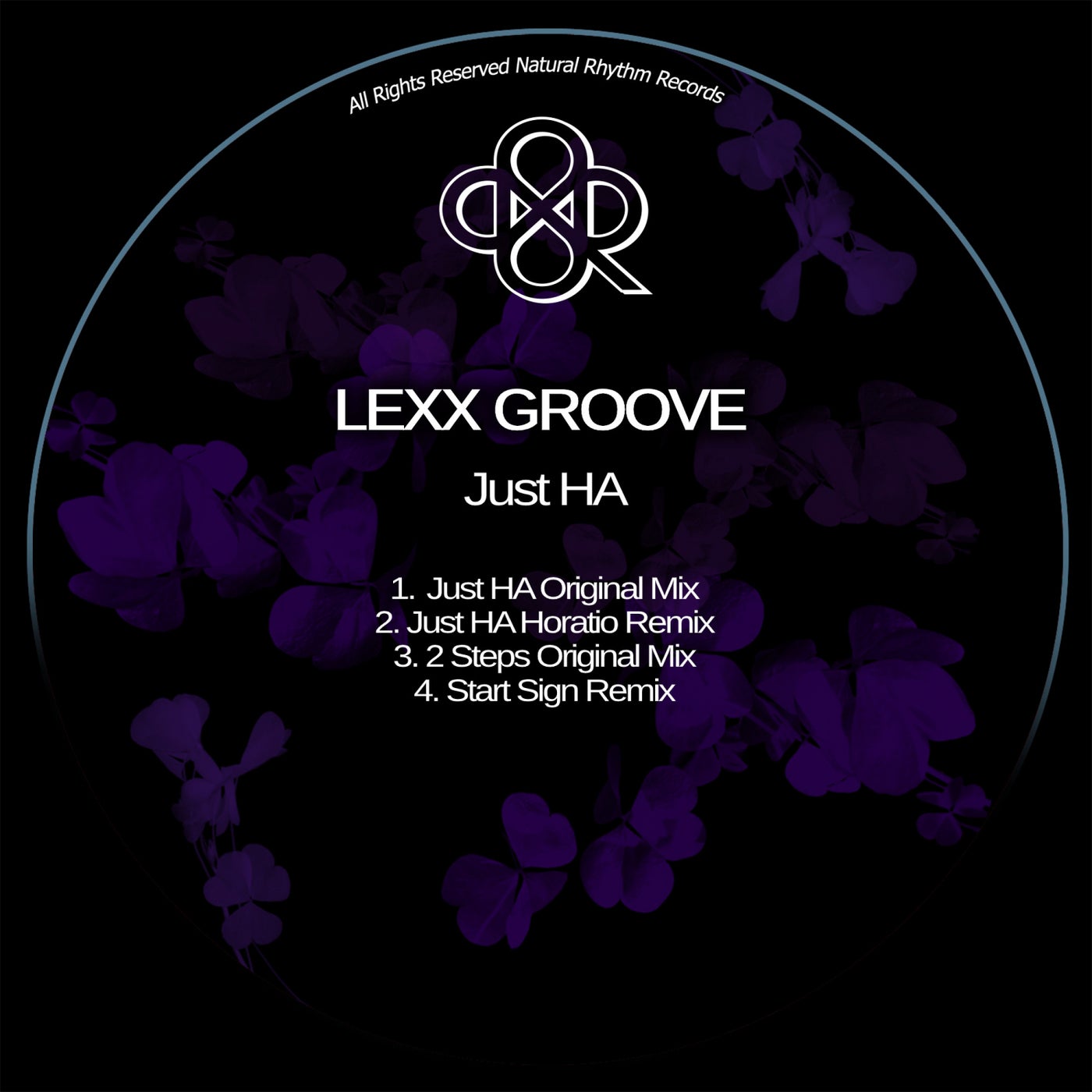 Lexx Groove – Just HA [NR391]